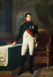 Portrét Napoleona Bonaparta (1769-1821) 1809